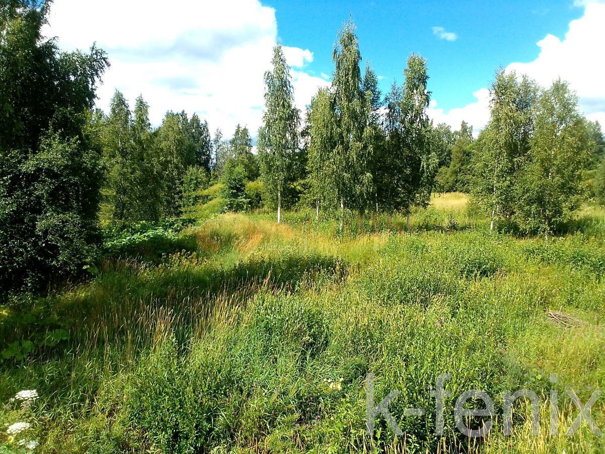 участок 12 сот